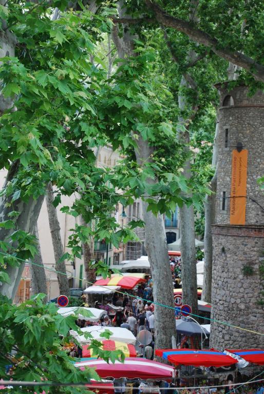 Hotel Vidal Ceret Luaran gambar